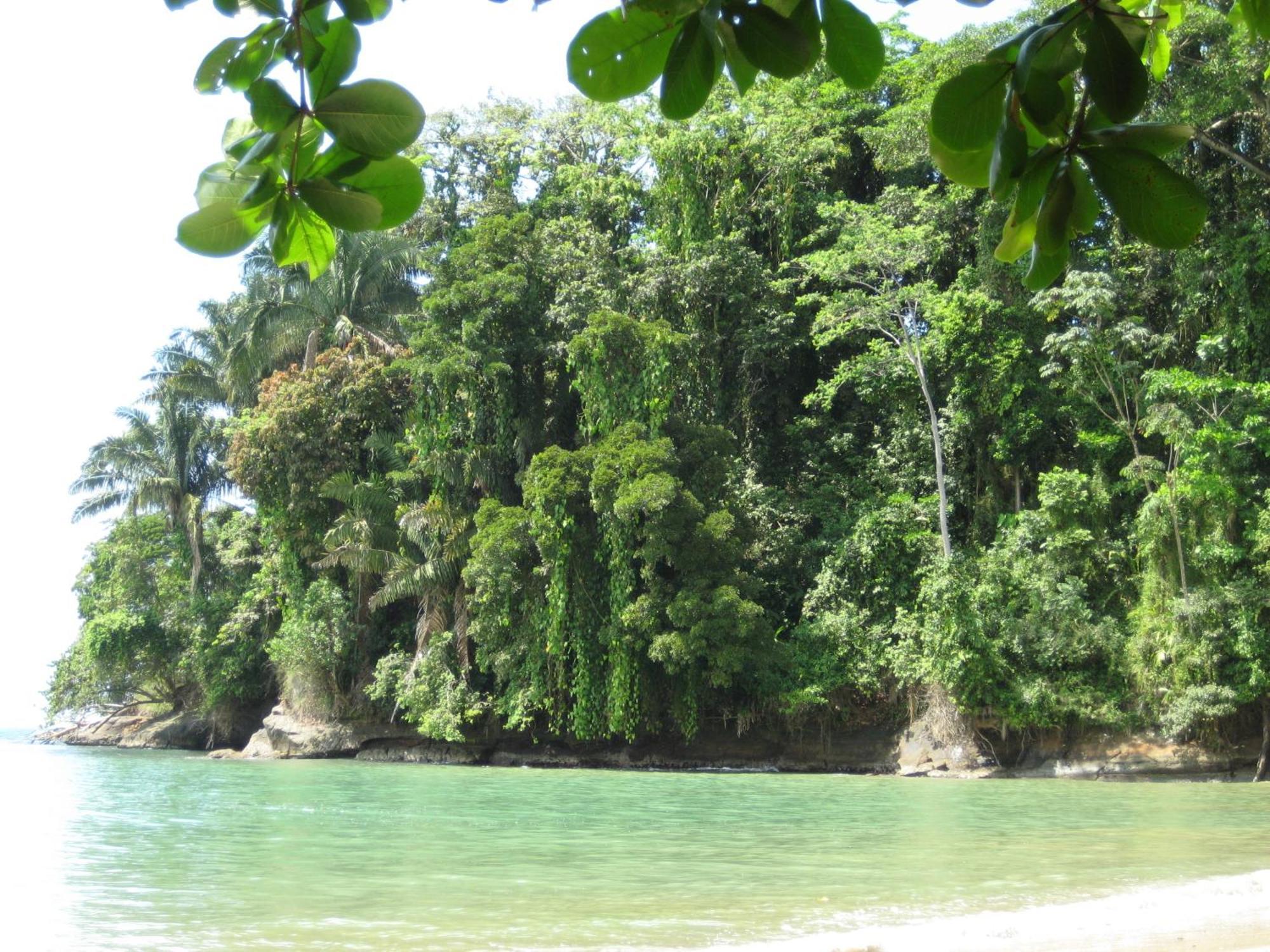El Tucan Jungle Lodge Puerto Viejo de Talamanca Exteriör bild