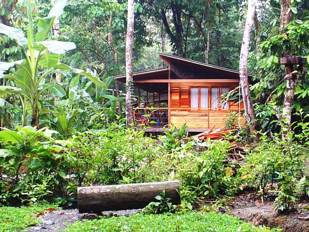 El Tucan Jungle Lodge Puerto Viejo de Talamanca Exteriör bild