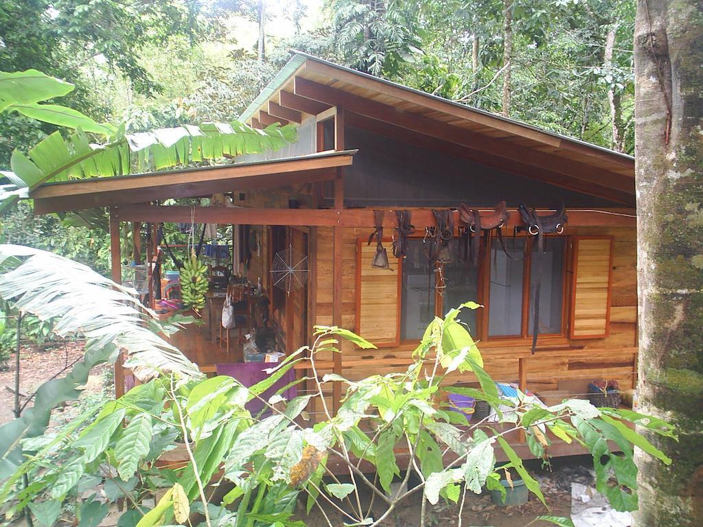 El Tucan Jungle Lodge Puerto Viejo de Talamanca Rum bild