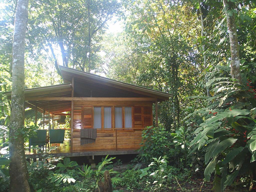 El Tucan Jungle Lodge Puerto Viejo de Talamanca Rum bild