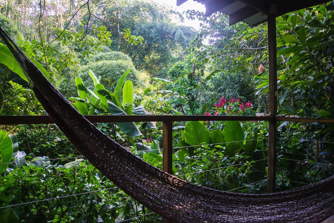 El Tucan Jungle Lodge Puerto Viejo de Talamanca Exteriör bild