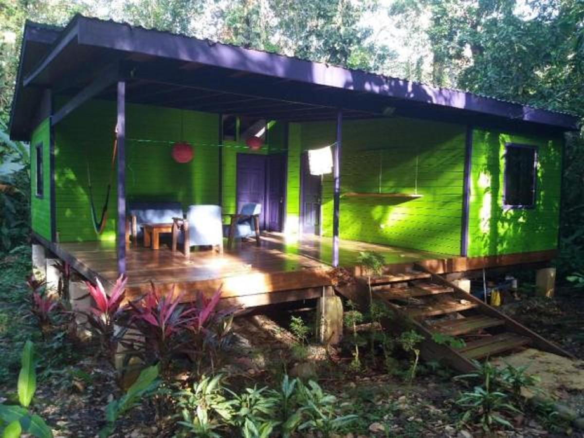El Tucan Jungle Lodge Puerto Viejo de Talamanca Exteriör bild