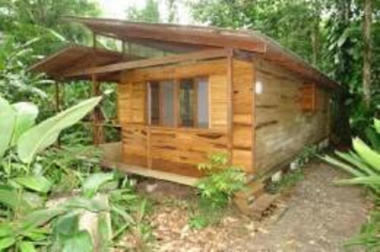 El Tucan Jungle Lodge Puerto Viejo de Talamanca Exteriör bild