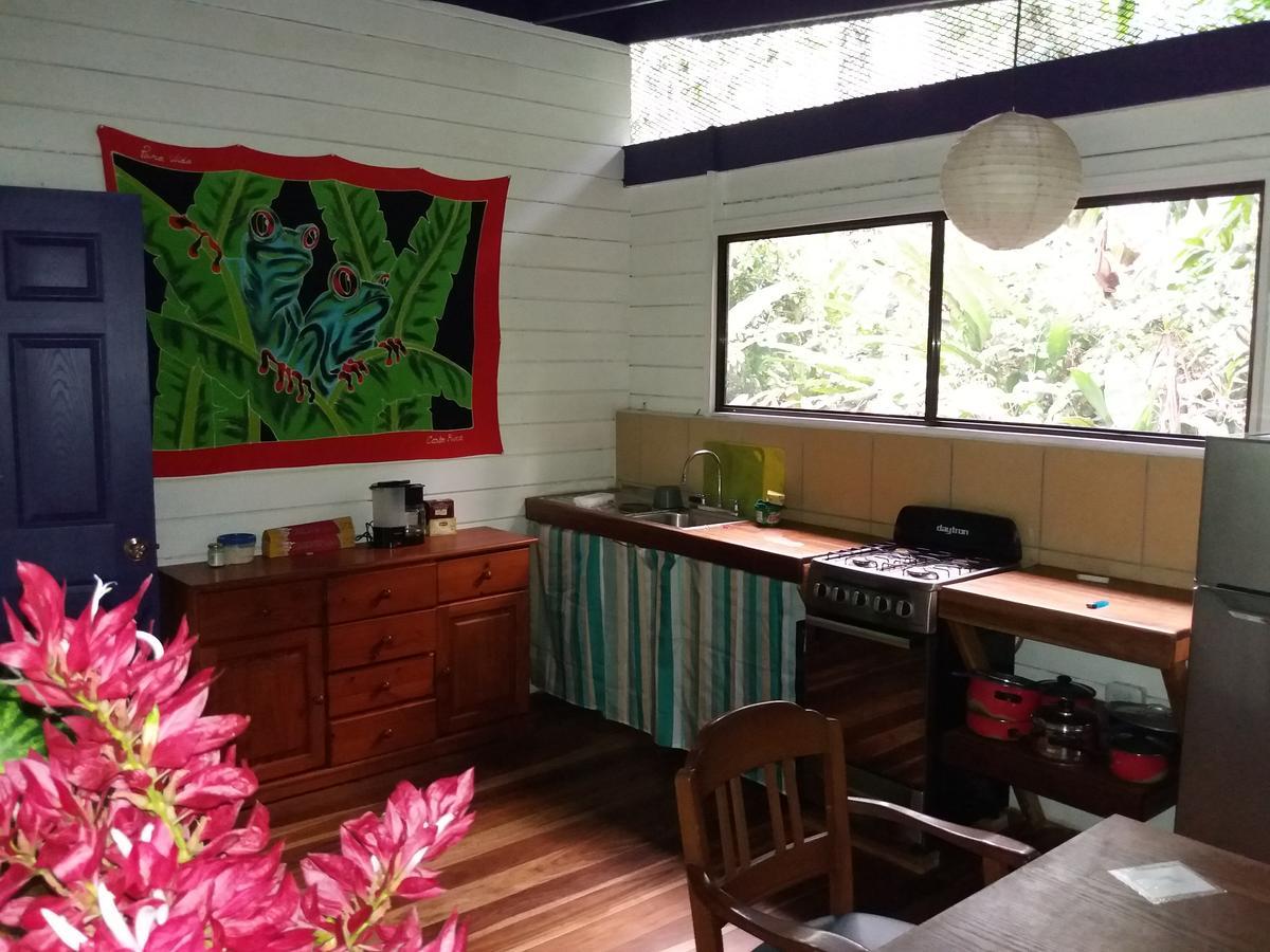 El Tucan Jungle Lodge Puerto Viejo de Talamanca Exteriör bild